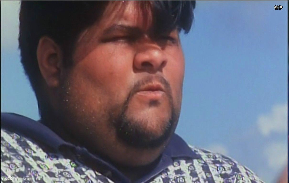 爱情梦幻号fascinationamour(1999)