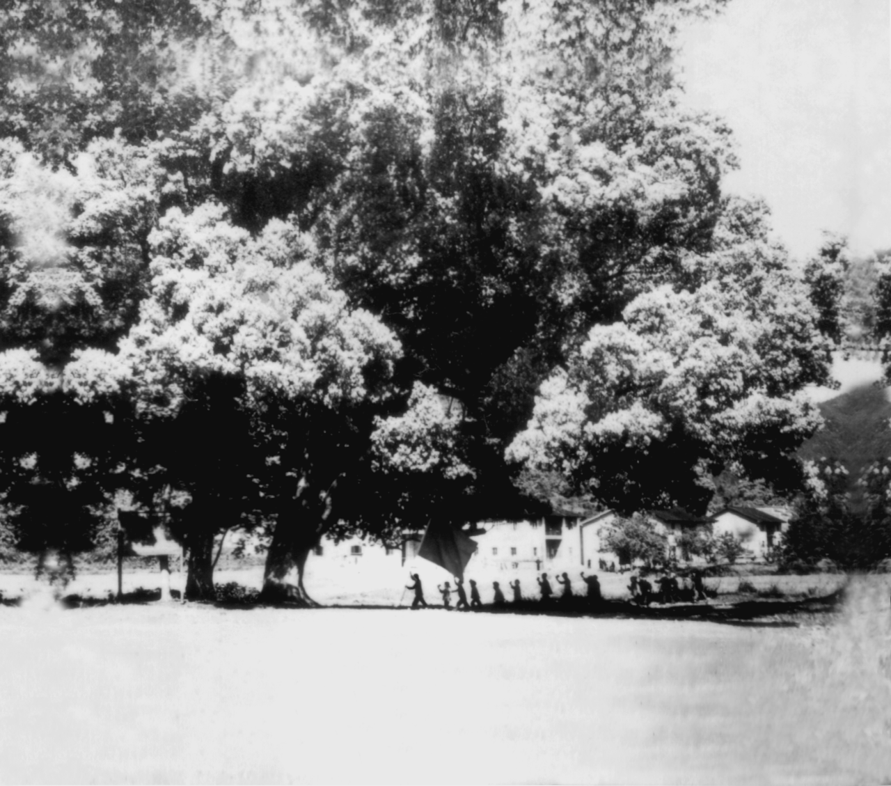 三湾村枫树坪