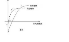 光照强度与光合作用强度曲线图