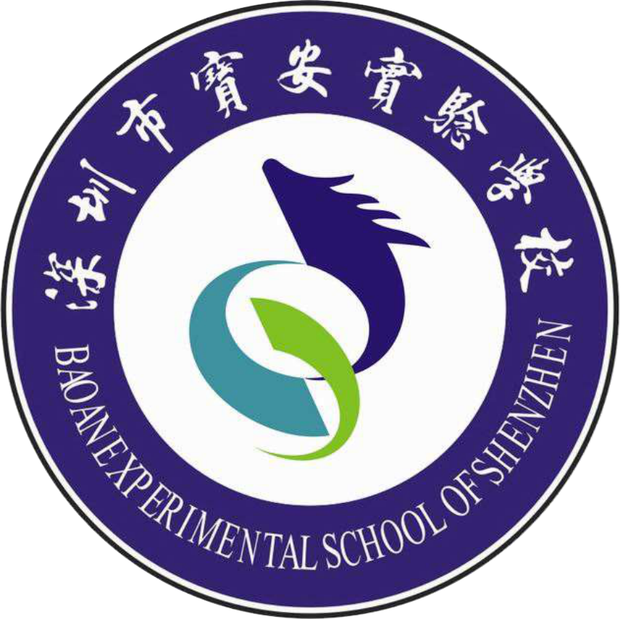 深圳宝安实验学校