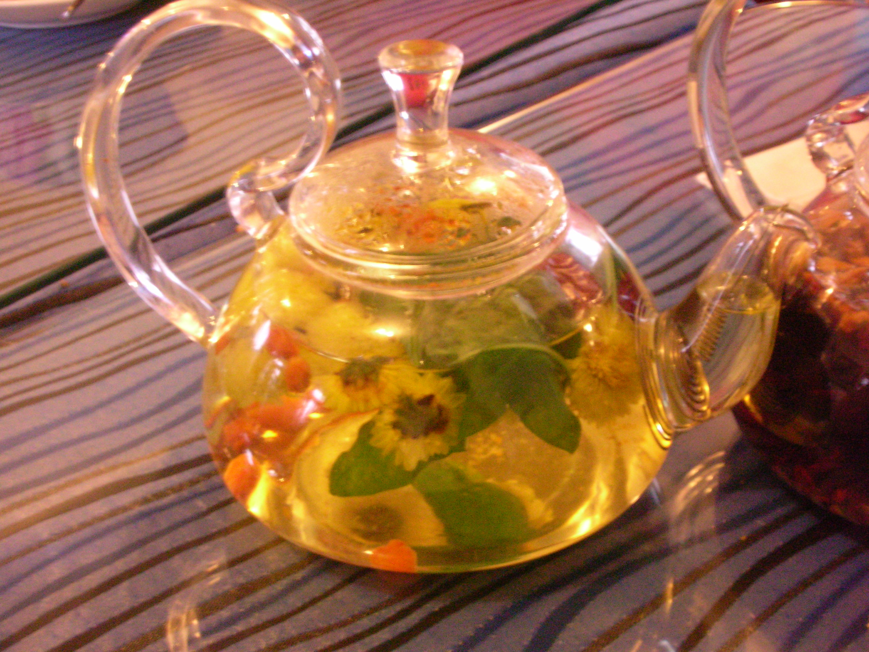 杭白菊花茶