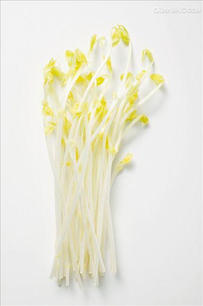 href="/item/巧芽">巧芽 /a>, a target="_blank" href="/item/豆芽菜