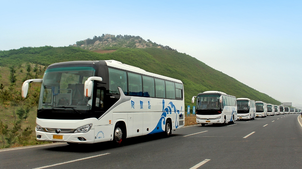 青岛凤凰岛出行服务有限公司