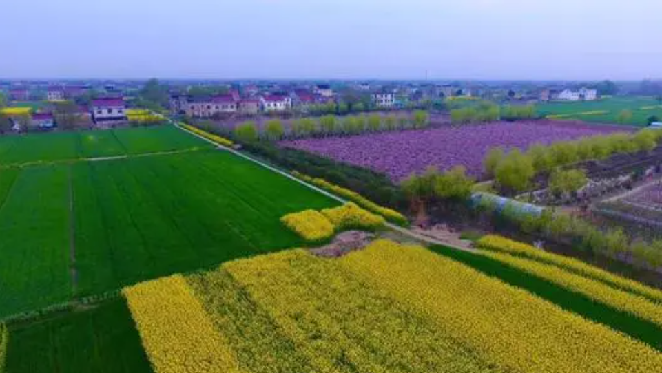 磨头镇,隶属于江苏省 a target="_blank" href="/item/如皋市/2587789