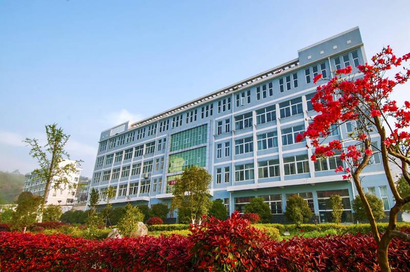 安庆大别山科技学校