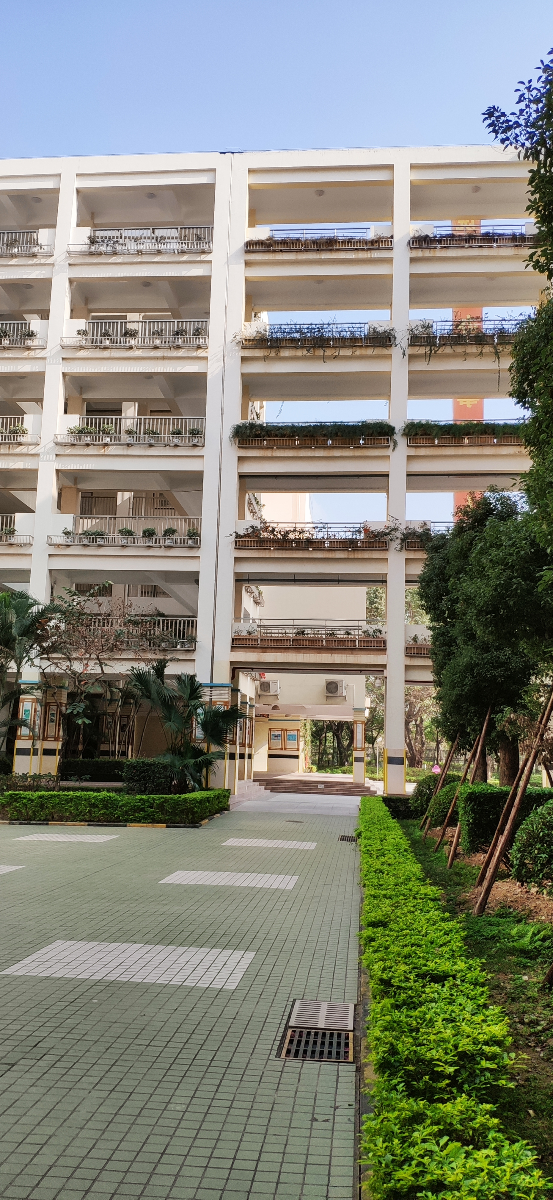 宝安区实验学校