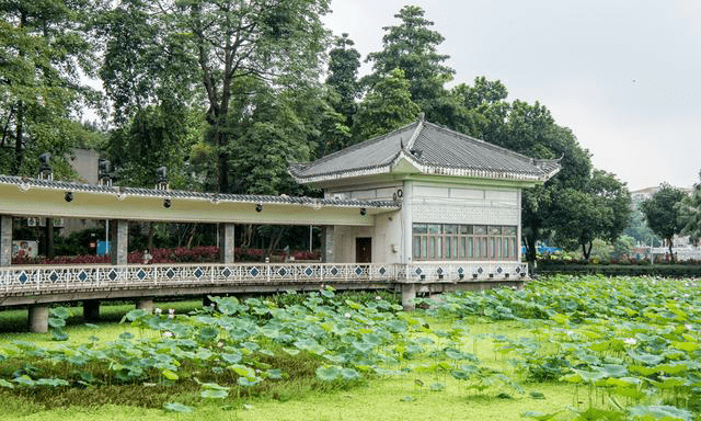  p data-id="gnwkjch92j">海山仙馆,位于广州市荔枝湾畔,是清代广州