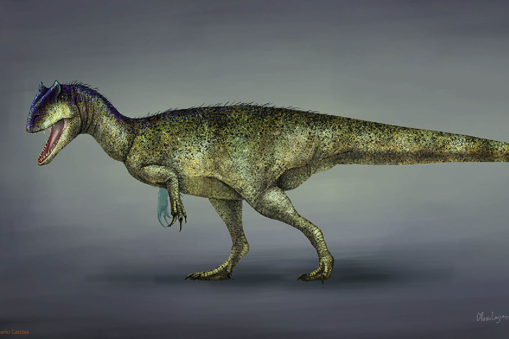  p data-id="go0aokpmhm">食蜥王龙是发现于北美洲晚侏罗世莫里逊组的