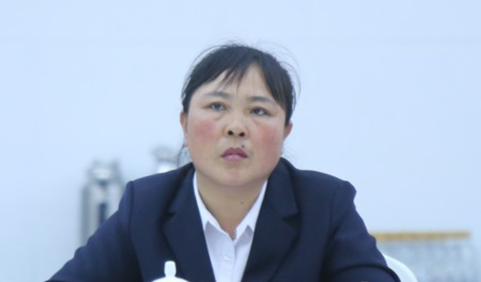3a">现任第十四届全国人大代表,鸡西市麻山区麻山镇龙山村党支部书记