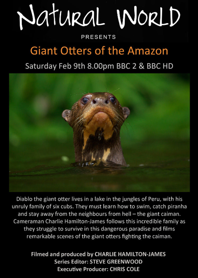  p>《亚马逊的巨獭》是一部纪录片,共1集,播放平台为腾讯视频. /p>