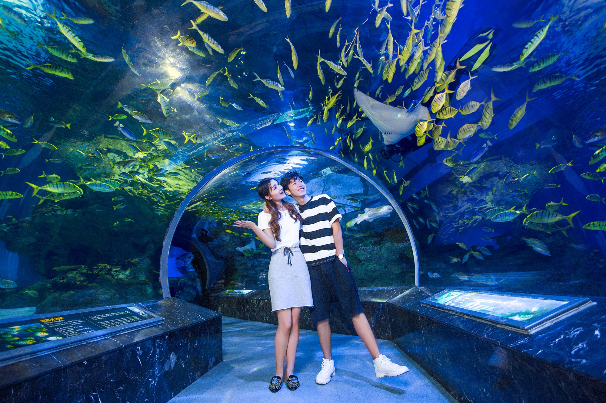 成都海昌极地海洋公园