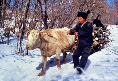 费孝通《乡土中国》经典名句，教你认识中国乡土社会_百科TA说