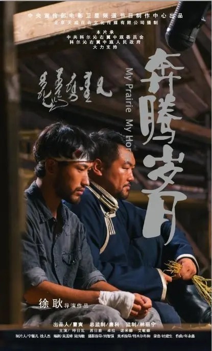 《奔腾岁月》是由中央宣传部电影卫星频道节目制作中心出品的剧情片