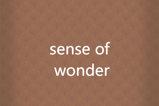 sense of wonder