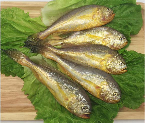  p data-id="gnx5i8h9kv">滁州特产梅鱼又名"梅白鱼",梅鱼亦称梅白鱼