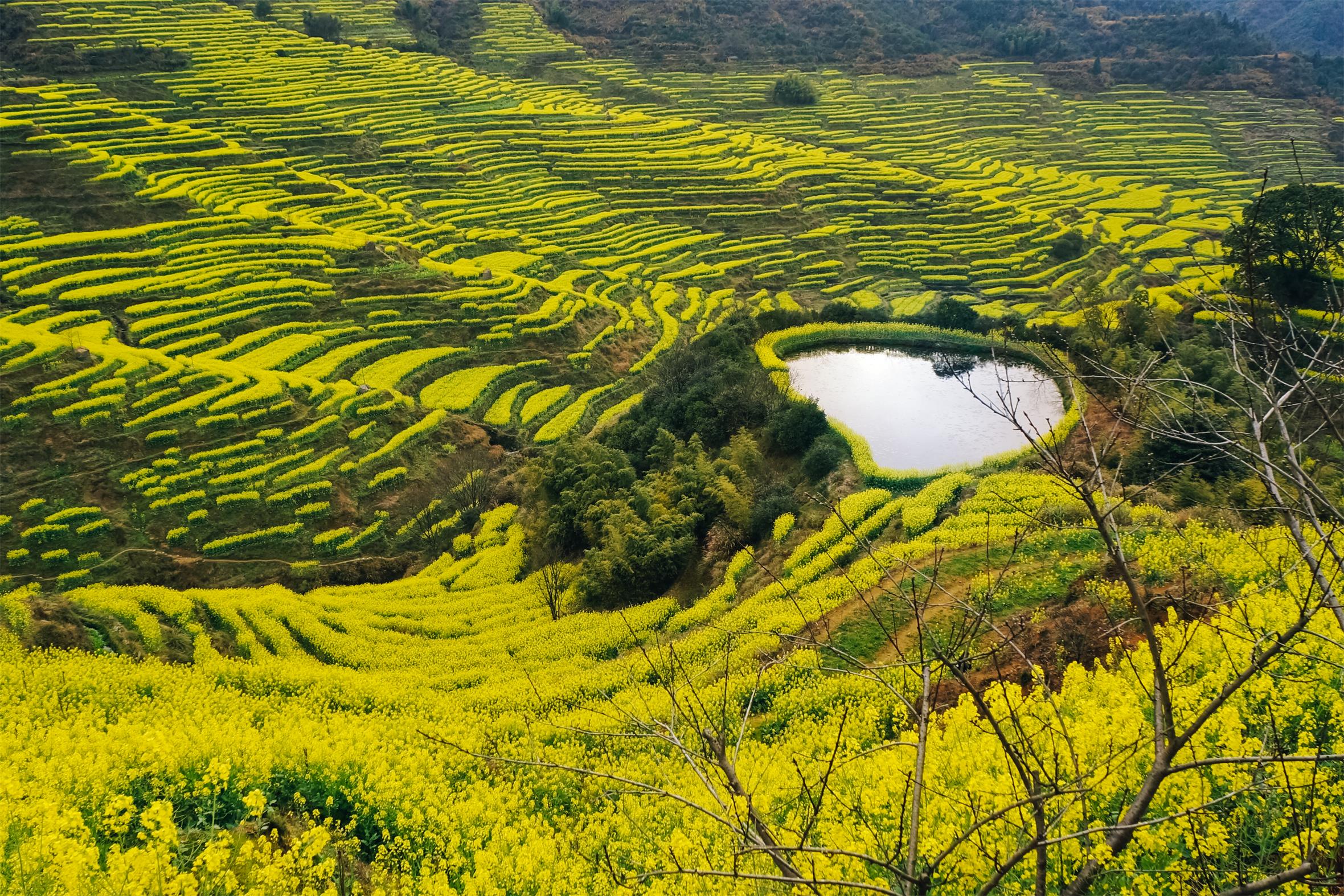  p>篁岭景区,即婺源篁岭旅游度假区,位于 a target="_blank" href="