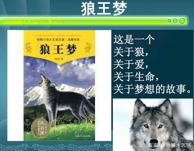 永不放弃的信念——读《狼王梦》有感_百科TA说