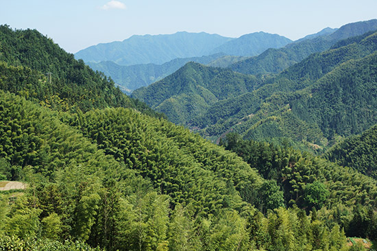  p>璜尖乡,隶属于安徽省黄山市休宁县,地处 a target="_blank" href="