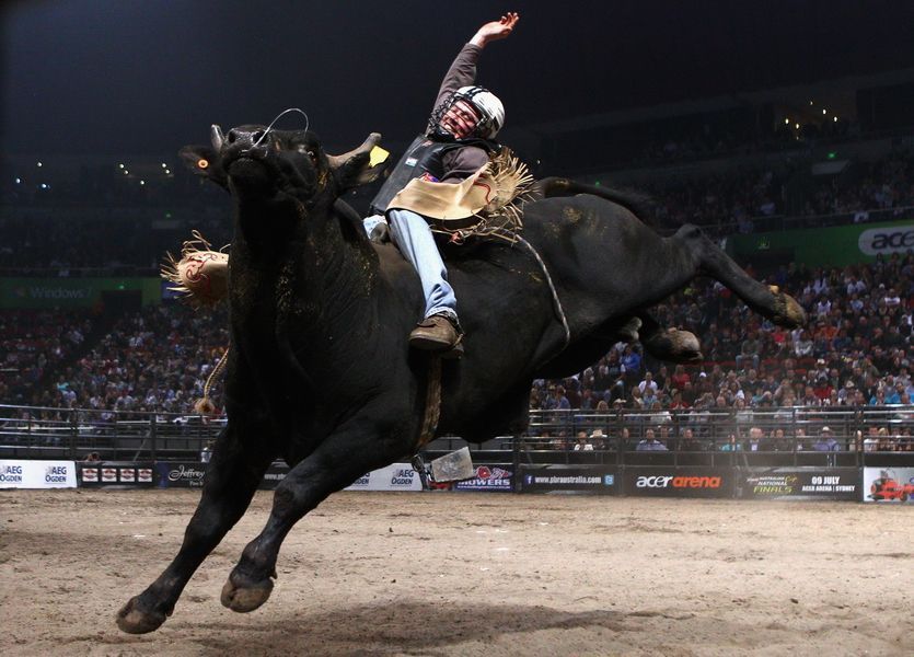 的ceo兰迪·班纳德可以骄傲地宣称:职业骑牛大赛已经吸引了