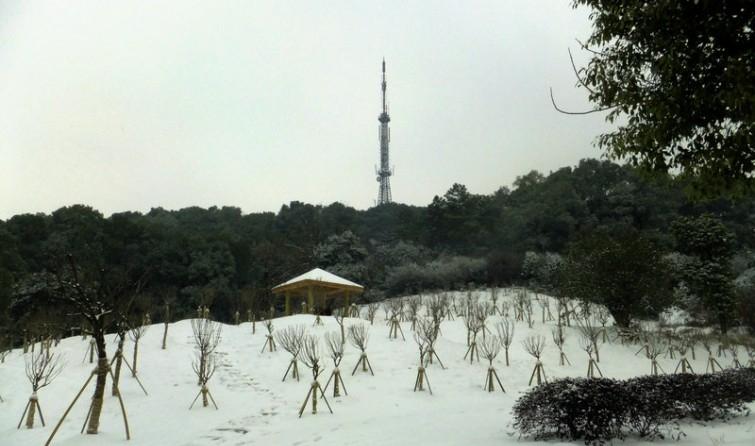 岳阳市金鹗山公园