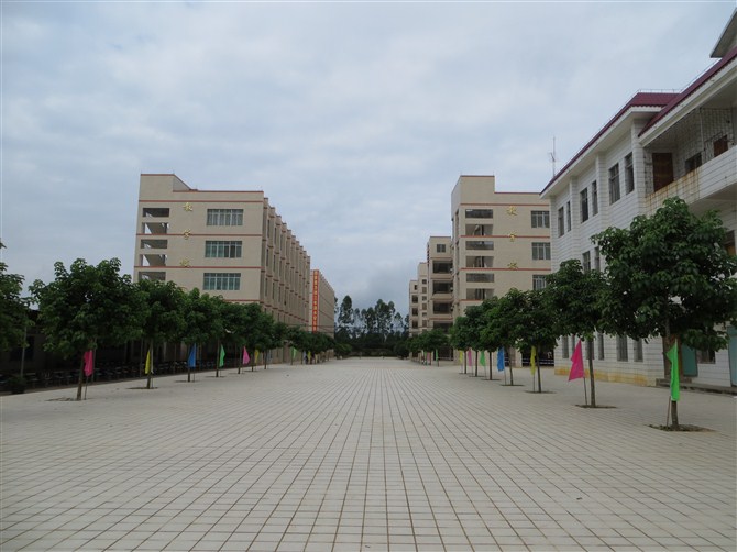 雷州市第八中学