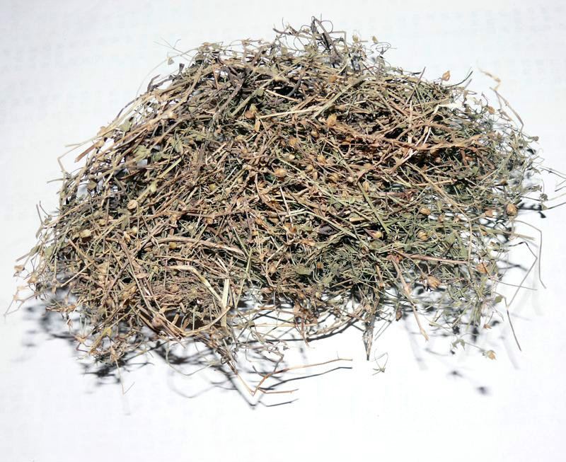  p data-id="gnbihtt5ep">一枝黄花,中药名.