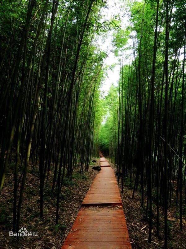 鲸鱼沟旅游风景区