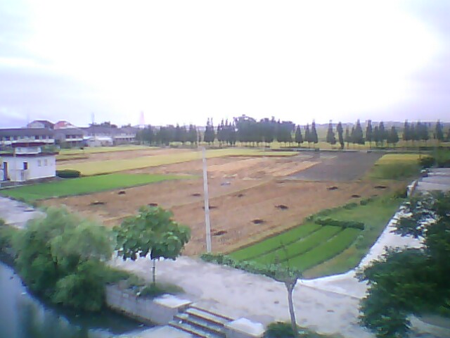 大桥村