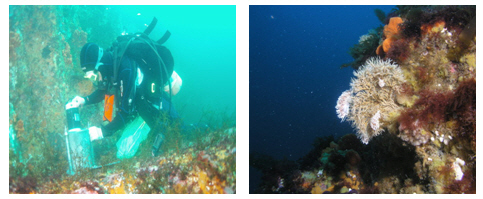  p> a href="#" data-lemmaid="1122445">中国 /a>黄海的日向礁,位于