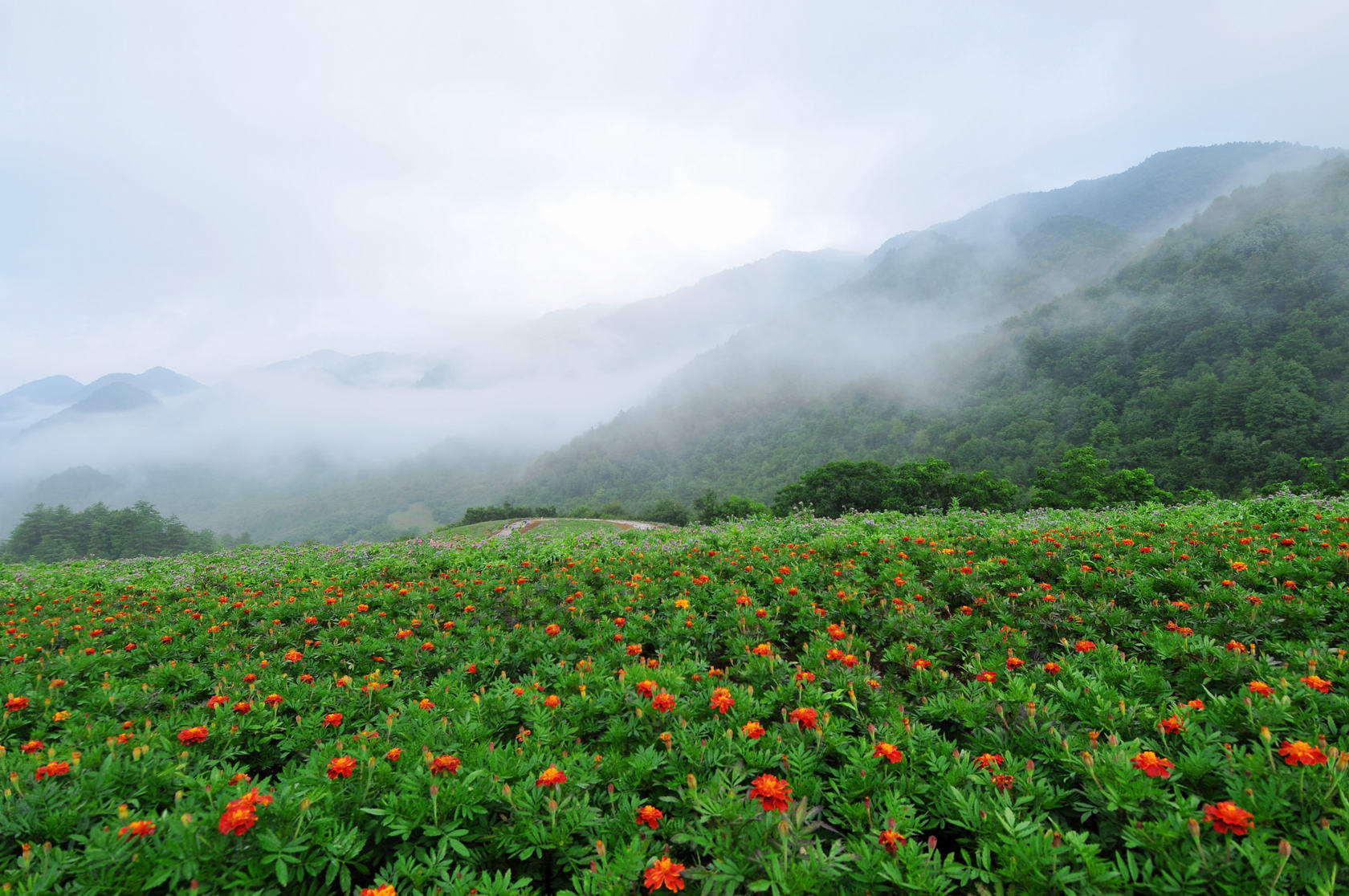 红池坝风景区天气预报在线