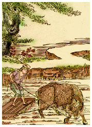 中国古代农作制