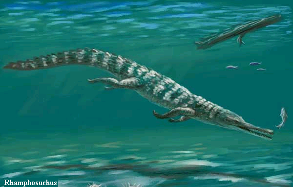 福尔克纳和考特利在1840年建立了喙嘴鳄属(rhamphosuchus),意思是"长