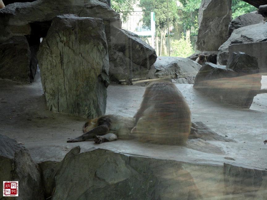 北京动物园