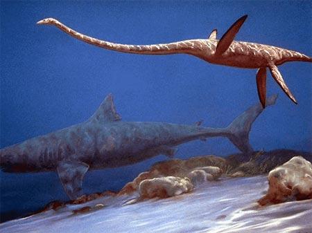 plesiosaurs