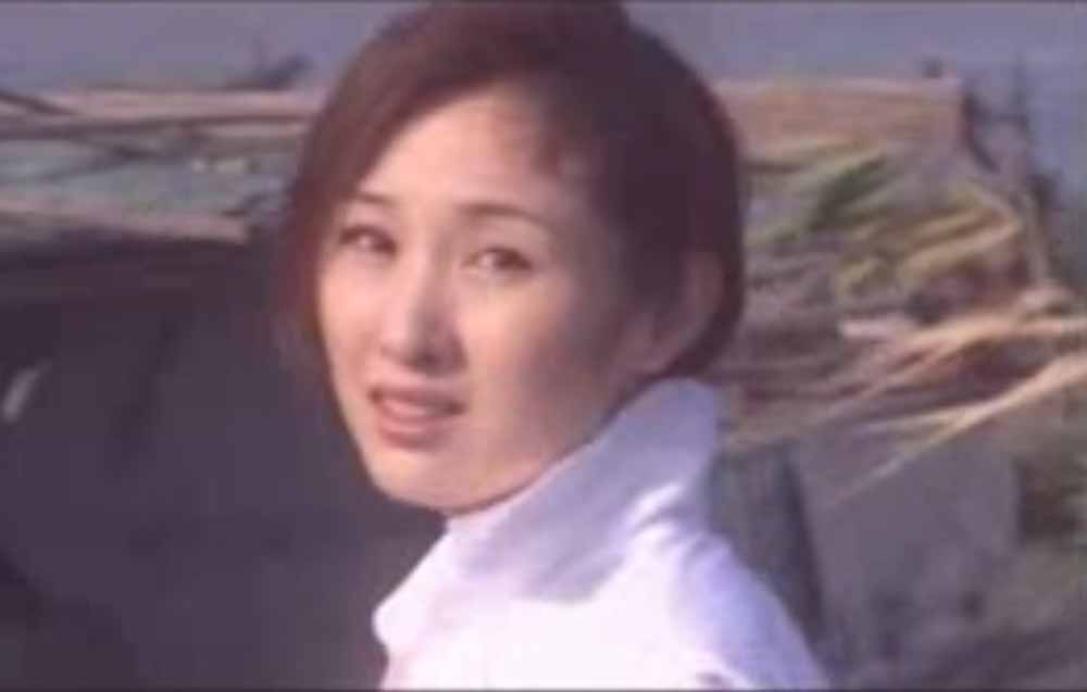  p>《惊天东方号》是于2004年首播的反恐,警匪电视剧,由刘迪执导,由 a