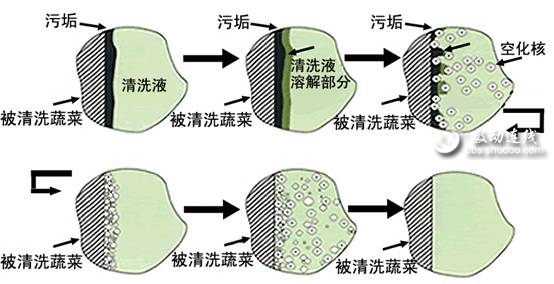  p>超声波洗菜机是通过空化作用产生的巨大冲击力将被清洗的蔬菜瓜果