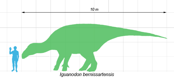禽龙(iguanodon)