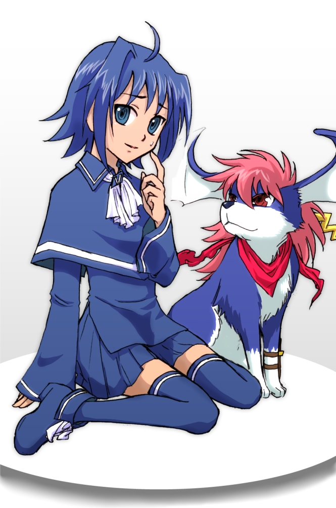  p>《卡片战斗先导者》是于2011年1月8日开始放送的日本 a href="#"