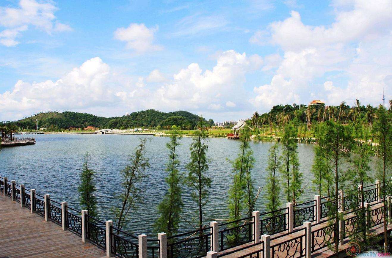  p data-id="gnx9ub36bj">鸳鸯湖位于阳江市中心,原名" a target="