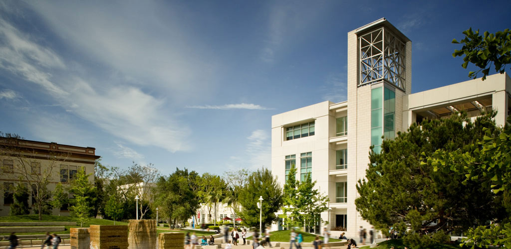 chapman university