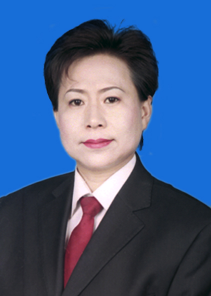 href="#" data-lemmaid="5253557">嘉荫县 /a>委副书记