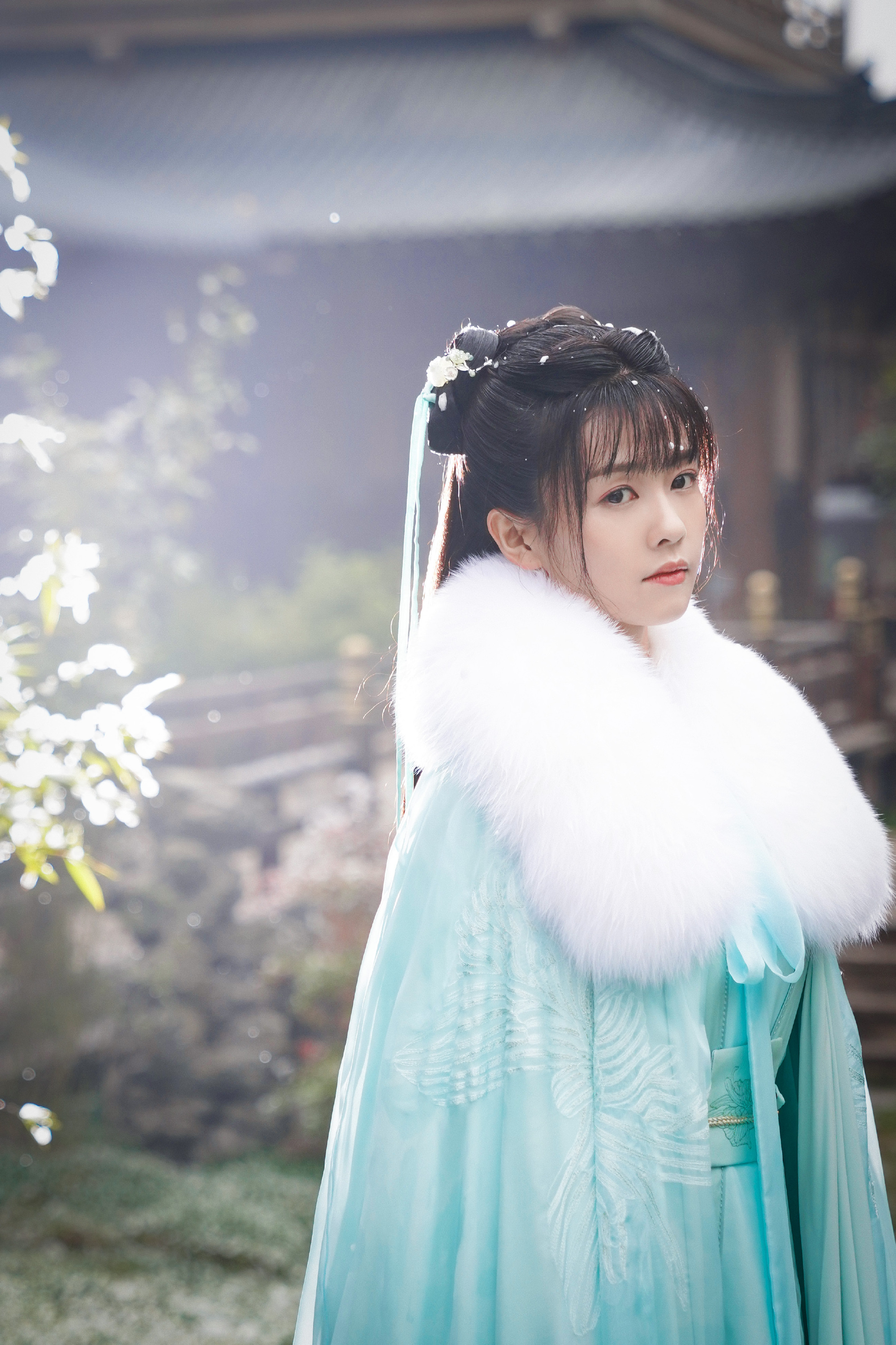 白鹿