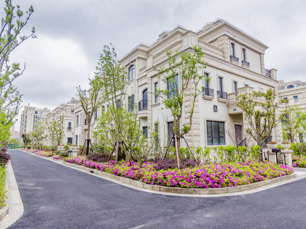 中金海棠湾(别墅)