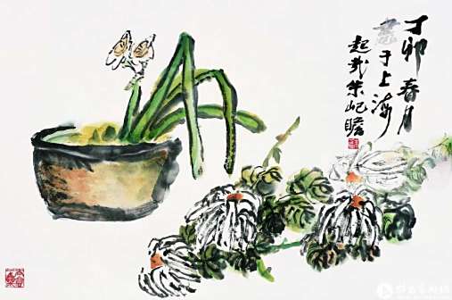 <p>白菊水仙