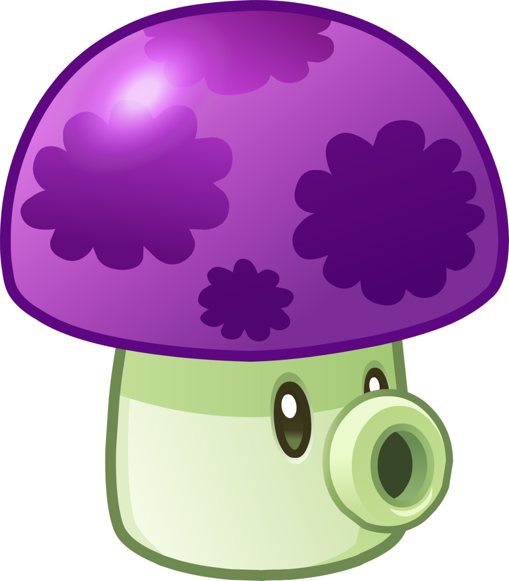 植物大战僵尸2:奇妙时空之旅