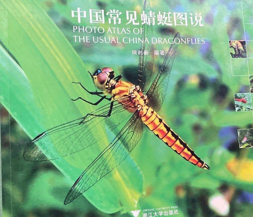 中国常见蜻蜓图说