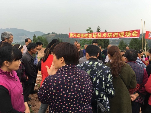 菊河镇(已撤销),隶属四川省绵阳市 a target="_blank" href="/item/三