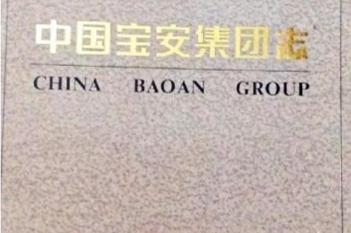 中国宝安集团志
