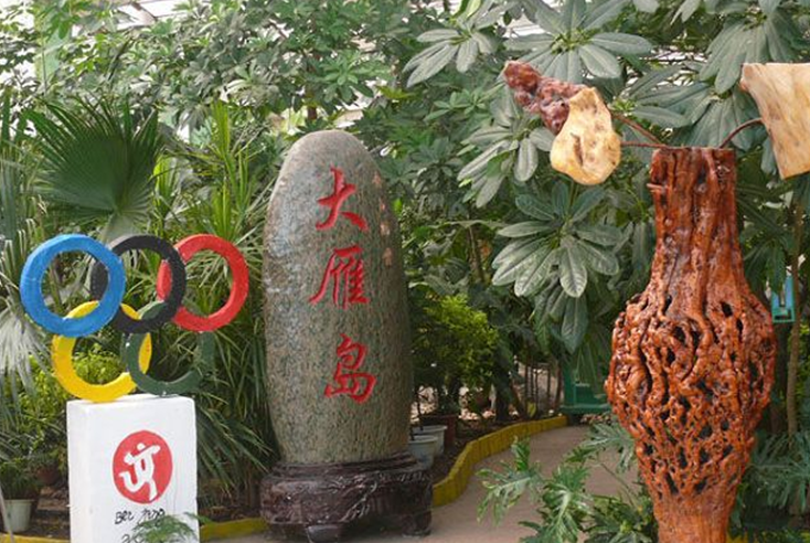 山东大雁岛生态园