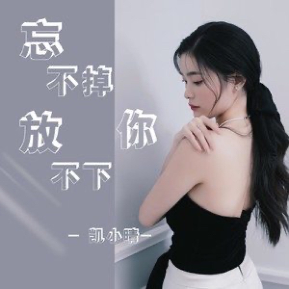  p>《忘不掉你放不下你》是凯小晴演唱的歌曲,由凯小晴作词,杨顺高